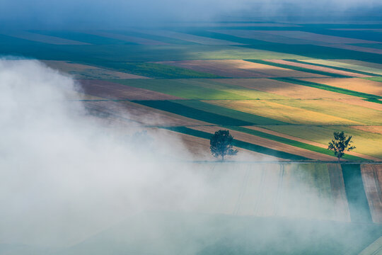Golden Agricultural Patchwork in the Morning Mist Near Frumoasa, Harghita County, Romania.