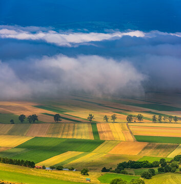 Golden Agricultural Patchwork in the Morning Mist Near Frumoasa, Harghita County, Romania.