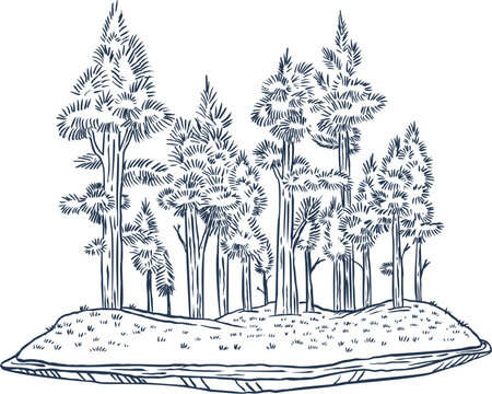 Group of miniature pine trees creating small forest in pot. Yose-ue style bonsai vector sketch.