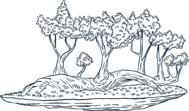 Raft style bonsai tree with multiple trunks growing from  fallen log. Vector sketch illustration.