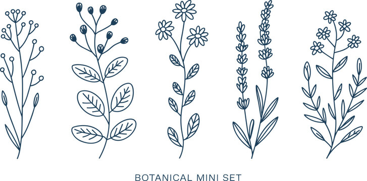 Minimalist botanical line art vector illustration mini set featuring delicate wildflower stems and elegant floral branch drawings