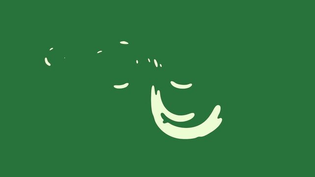 A green background with white circle on it and rabbit elephant screen cat bird the is flying in sky green screen animated chromakey background movement elements frame figure illustration
