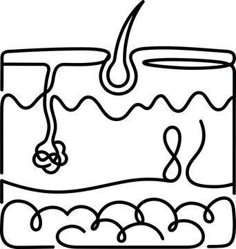 Continuous one line drawing of human skin layers anatomy.