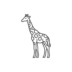 Fototapeta premium Giraffe outline icon with spots on transparent background vector animal illustration.