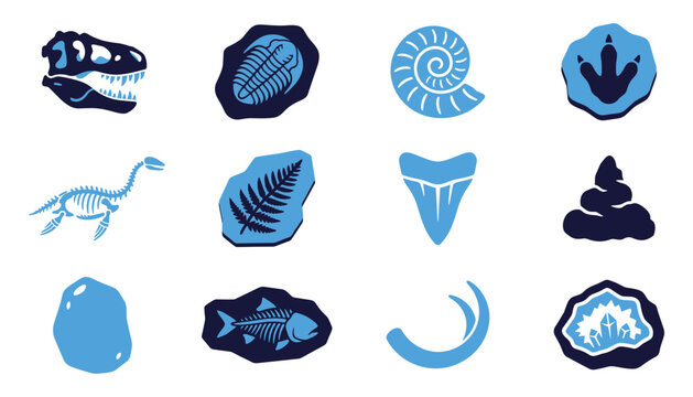 Paleontology vector illustration showing ancient fossilized remains and prehistoric discovery set.