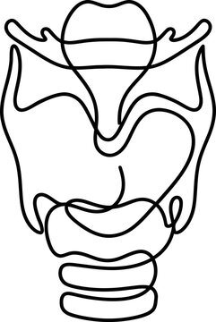 Continuous line art illustration of the human larynx and trachea anatomy.