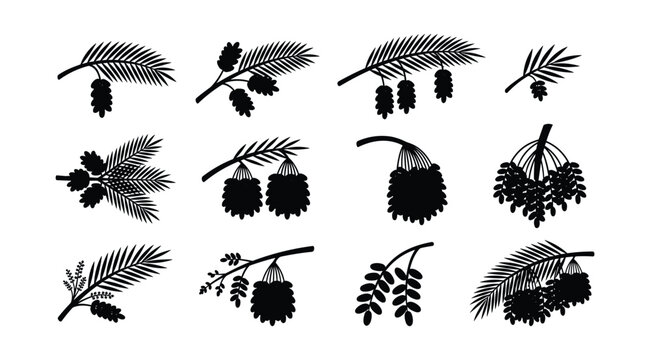Date Palm Fruit Branch Silhouette Icon Collection, Isolated Tropical Phoenix Dactylifera Bunch with Frond Leaf Vector Elements