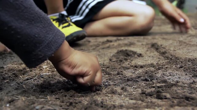 Close Up Of Children Hands Playing In Dirt And Making Furrows With Sticks - 4K