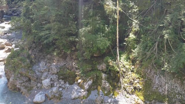 A beautiful wide horizontal pan of the turquoise river in Tolmin Gorge, Slovenia, showing clear alpine waters, rocky canyon cliffs, dense green forests, and a suspension bridge under the summer sun.