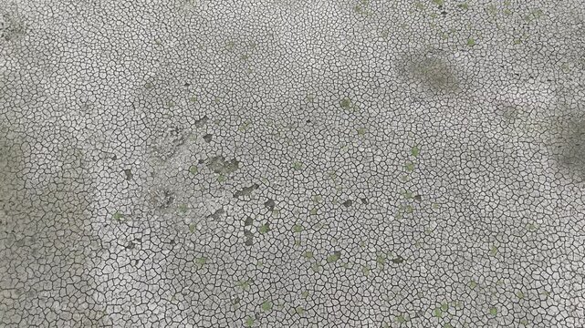 Cinematic 4K drone footage flying directly above a drought-stricken pond in rural Bangladesh, revealing extensive cracked mud patterns and a completely dried waterbody. 