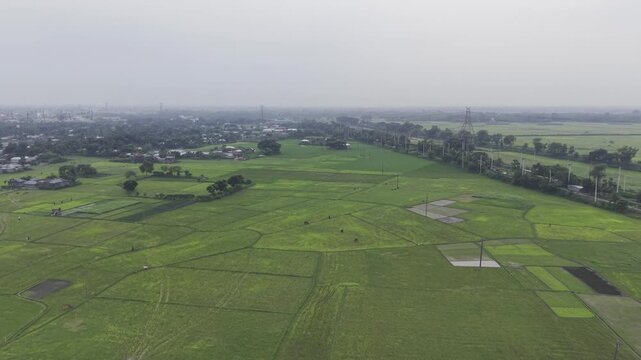A cinematic forward drone flight over vast green agricultural fields in rural Bangladesh. The aerial footage captures lush farmland, open countryside, and productive crop fields.