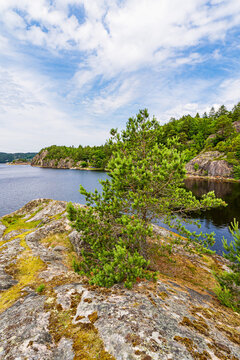 Felsen und B&auml;ume im Naturreservat Kobbungen nahe Str&ouml;mstad, Schweden