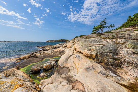 Felsen und B&auml;ume an der K&uuml;ste der Insel Salt&ouml; nahe Str&ouml;mstad, Schweden