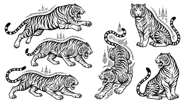 Traditional Thai Tiger Yantra Drawings Hand Drawn Ink Vector Set