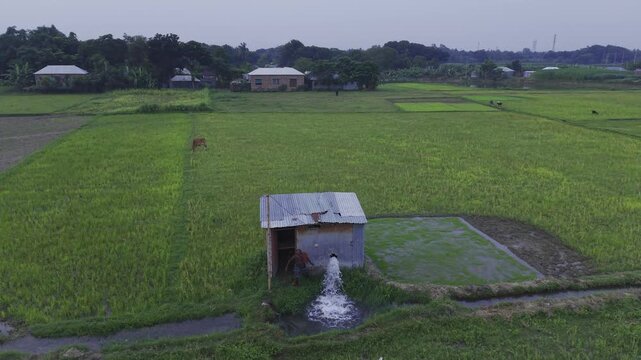 Kushtia, Bangladesh, June 28 2026: Cinematic aerial footage of a farmer drinking fresh water from an irrigation pump while standing in a green crop field in Bangladesh. 
