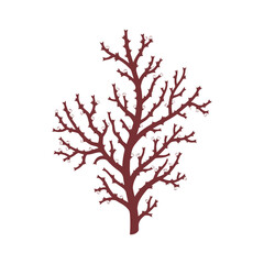 Fototapeta premium Deep Red Decorative Coral Branch Illustration for Nature Inspired Graphic Design