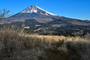 Fototapeta premium 愛鷹山塊の越前岳 カヤトの登山道から望む富士山 