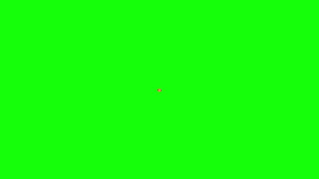 Best Seller Gold Starburst Badge with Red Ribbon Pop Up Bouncy Rotation Animation Loop on Green Screen Chroma Key Background.