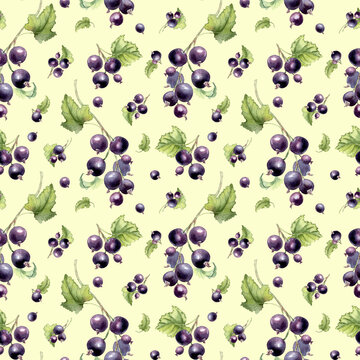Blackcurrant berries watercolor seamless pattern isolated on green. Repeat design of hand painted branches with ripe fresh fruits and green leaves. Botanical print for stationery and kitchen textile.