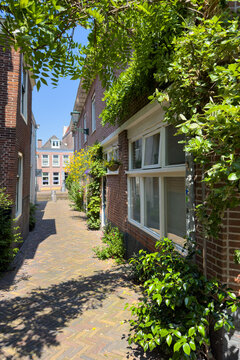 Gr&uuml;ne Altstadtgasse mit Backsteinfassaden und Pflanzen in Alkmaar, Alkmaar, Nordholland, Niederlande