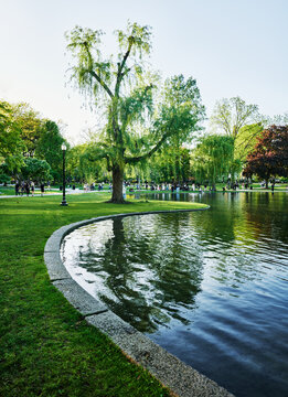 The central lagoon of the Boston Public Garden, a historic park in downtown Boston, Massachusetts, New England
