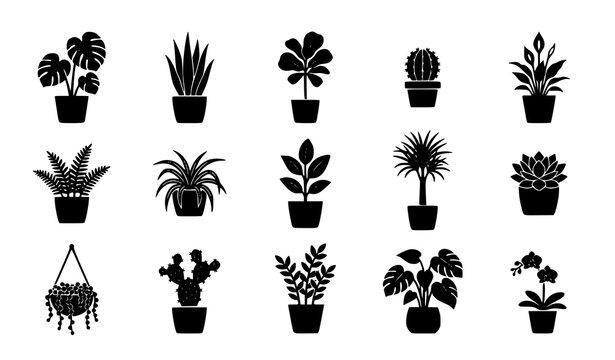 Potted Houseplants and Indoor Potted Plants Solid Silhouette Vector Icon Set Featuring Monstera Cactus Snake Plant Orchid and Fern Elements for Interior Design