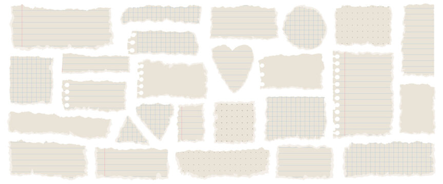 Large collection of torn notebook paper pieces with lined and grid textures in different shapes isolated on white background.
