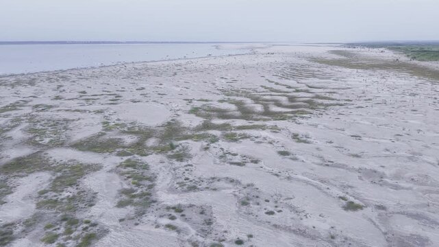 Slow ascending drone footage revealing the vast sandbar of the Padma River in Kushtia, Bangladesh. A cinematic aerial view featuring the exposed riverbed and natural char landscape.