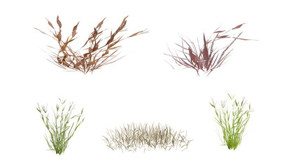 Fototapeta premium High-quality 3d render of various dry and green grass clumps isolated on black background, perfect for nature, landscaping, and design projects.