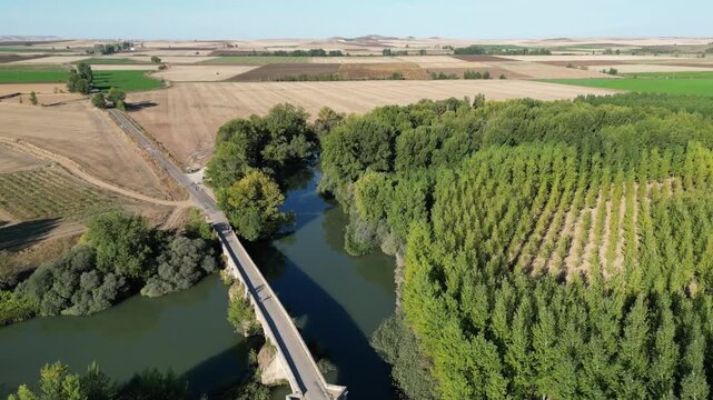 An aerial view of a quiet rural bridge crossing a calm river beside dense tree rows and wide agricultural fields along the Camino de Santiago in Spain