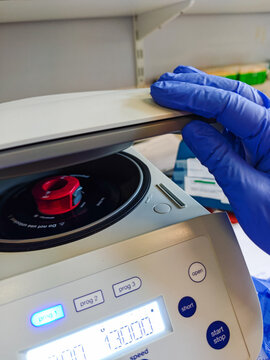 Laboratory technician closing a benchtop centrifuge before DNA extraction and GMO food testing