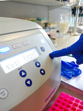 Laboratory technician starting a benchtop centrifuge for DNA extraction and GMO food analysis