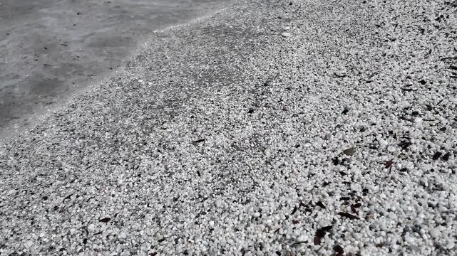 Black and white pebble beach texture background Monochrome sea wave foam on shingle shore