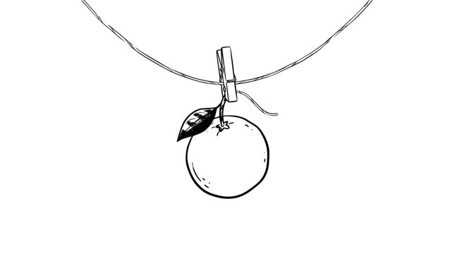 vector Illustrated orange fruit with leaf, hanging from a clothespin on a clothesline.