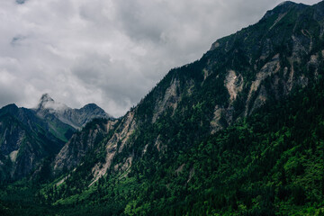 Fototapeta premium Dramatic mountain range shrouded in clouds, with lush green forests clinging to the slopes. A moody, atmospheric landscape.