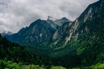 Fototapeta premium Dramatic mountain range shrouded in clouds, framed by lush green forests and valleys. A moody, expansive landscape.