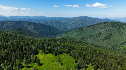 Scenic drone aerial rising shot flying over green forested slopes, revealing an endless panorama of majestic Altai mountains under a blue sky. © OlTarakanov