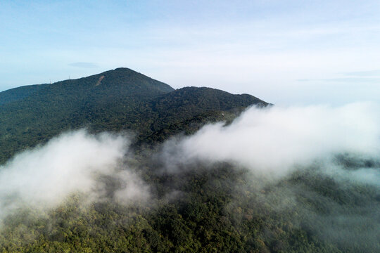 Lush green jungle covers the Son Tra Peninsula mountains, reaching a rocky coast where waves meet the deep blue ocean. Clouds drift over peaks
