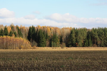 A vast autumn field with harvested crops and a dense forest under a clear sky. © Marsy