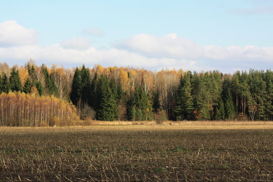 A vast autumn field with harvested crops and a dense forest under a clear sky.