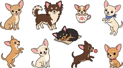 Fototapeta premium Chihuahua Dog Character Collection Vector Set with Cute Puppy Poses, Cartoon Pet Illustrations and Adorable Domestic Animal Design Pack