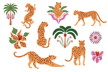 Plakat Tropical leopard, jaguar animal, palm tree, exotic flowers, jungle plants set. Hand drawn safari elements isolated on white, summer collection for prints, cards, invitations, logo. Vector illustration