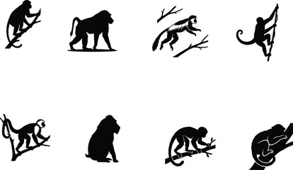 Obraz premium Monkey and Baboon Silhouette Collection Featuring Primate Wildlife Poses on Branches Isolated Black Vector Icon Set