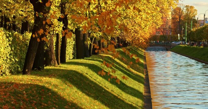 Lebyazhya kanavka embankment to the engineering palace, Trees with yellow leaves of the Summer garden in sunny autumn evening, Russia, Saint Petersburg