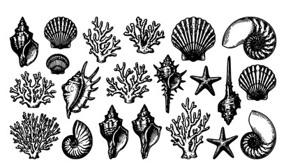 Mega Pack Hand Drawn Seashells and Coral Reef Vector Illustration Set Featuring Scallops Conches Nautilus Starfish and Seaweed in Vintage Engraving Style © Hosneara