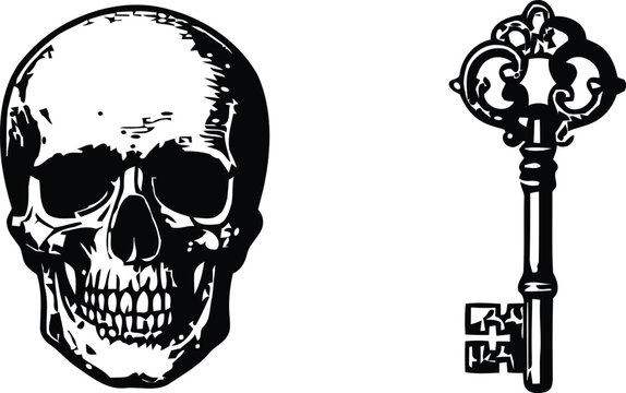 Skull and ornate skeleton key silhouette against a white background a gothic illustration anatomy bone calvaria cranium