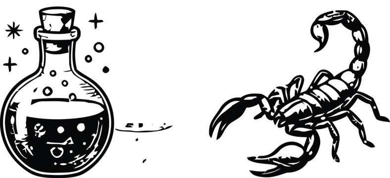 Potion bottle and scorpion illustration black and white vector graphic with decorative elements arachnid arthropod black and white chemical