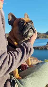 Close up of a woman caressing and petting her french bulldog by a scenic lake