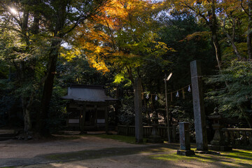 Obraz premium Taki Shrine in Imabari, Ehime, Japan – Traditional Shinto Shrine and Sacred Scenery
