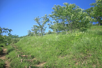 仙元山 © yossan.my